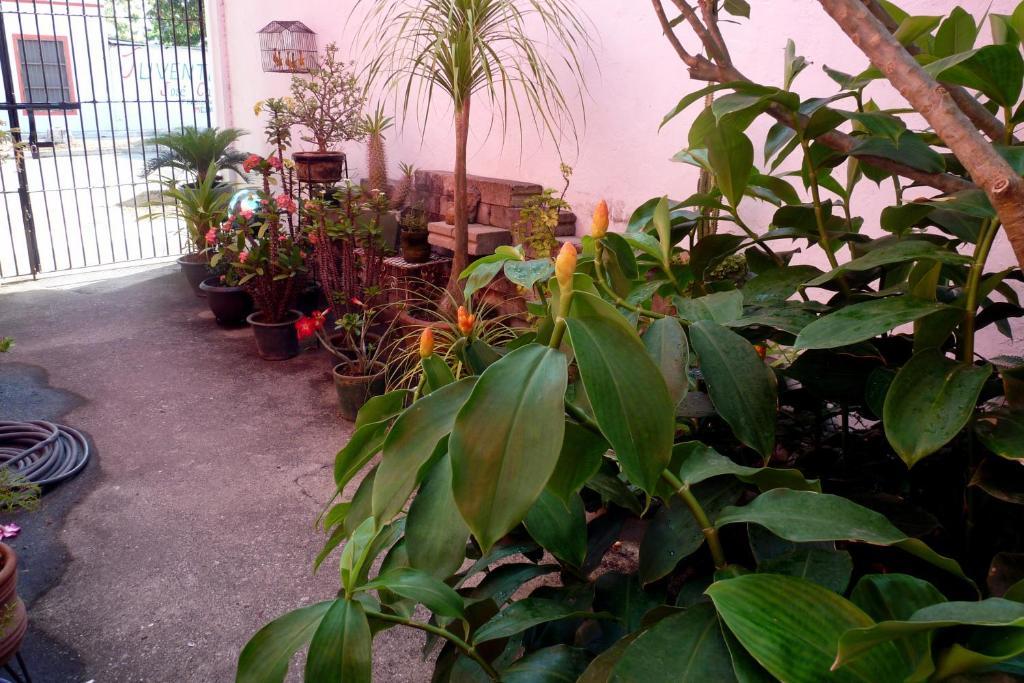 Casa de la Luz - Studio Apartment Tlacotalpan Habitación foto